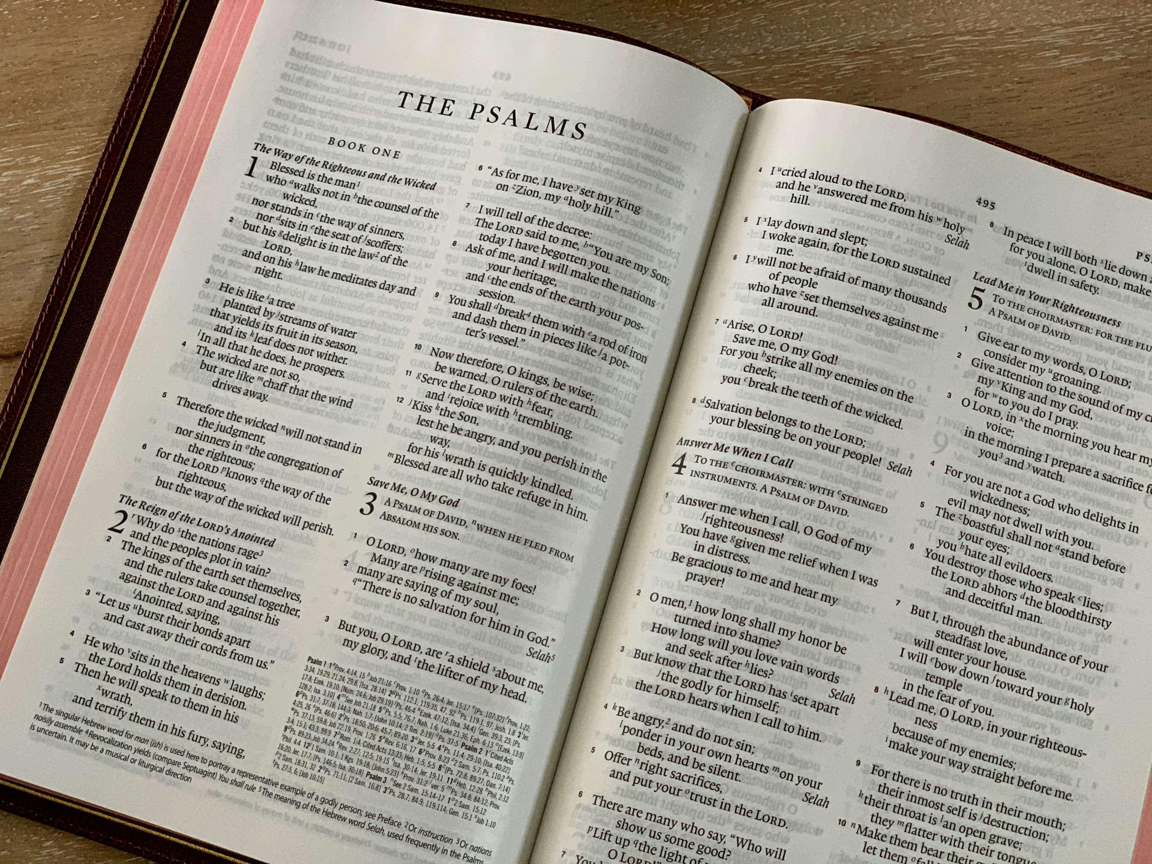Bible study